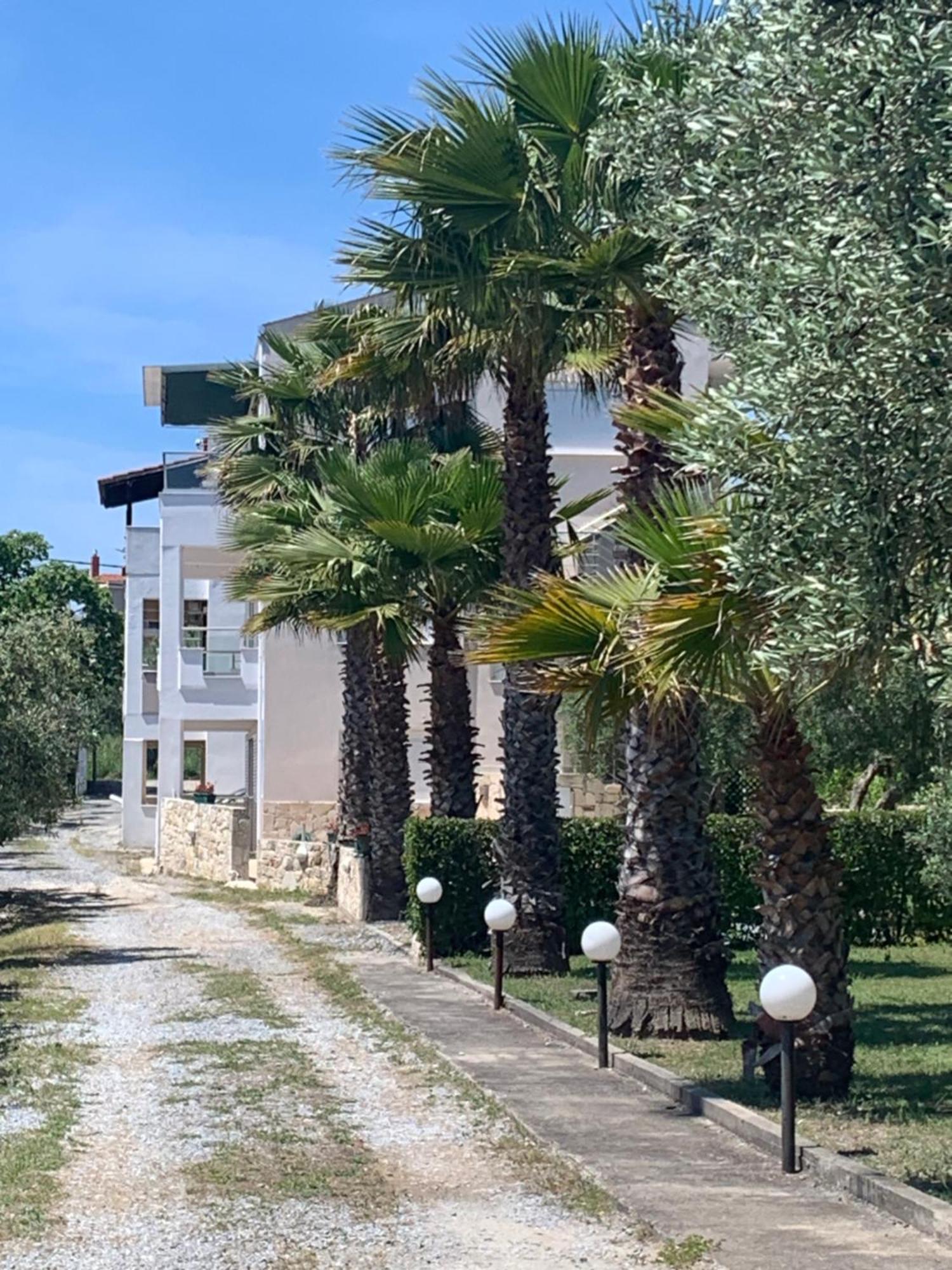 Villa Evita , Penthouse, 53M2 ,Athytos 450M From The Beach Áfitos Exterior foto
